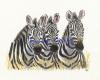 3zebres.jpg