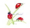Coccinelles2.jpg