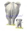 Elephantetsonpetit.jpg