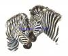 Zebres3.jpg